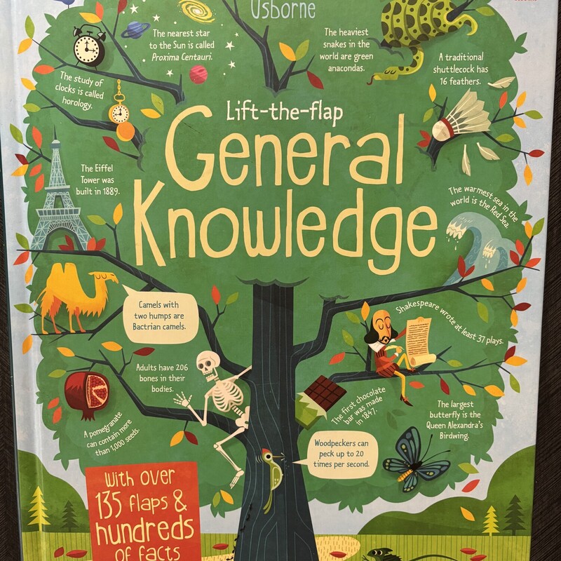 Usborne Book