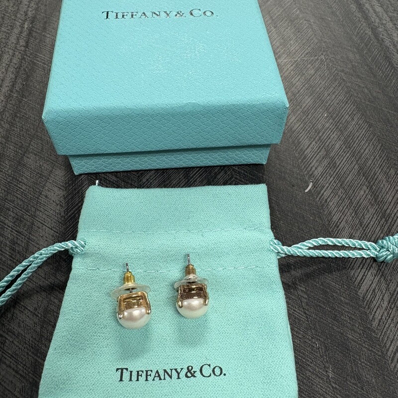 Pearl Designer Earings