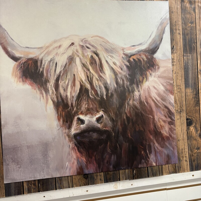 Large Cow Picture