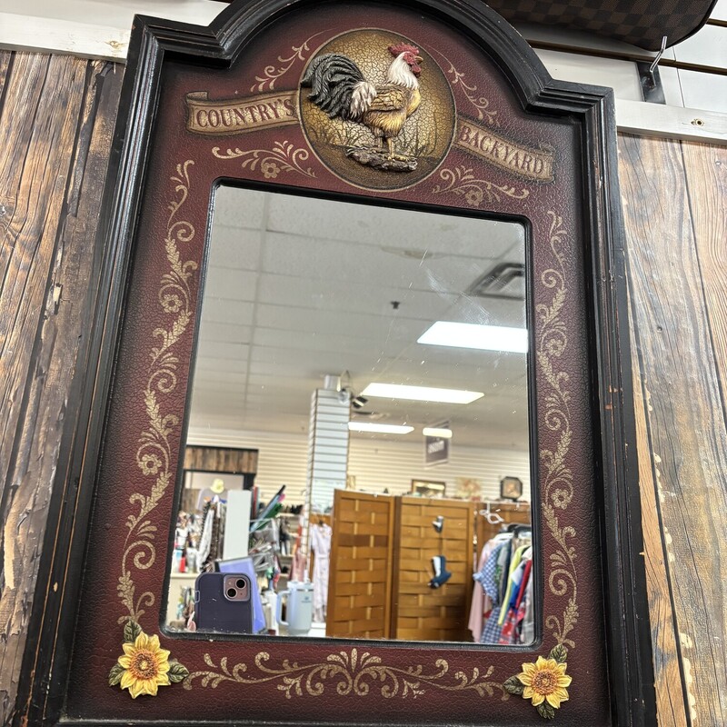 Countrys Backyard Mirror, Size: 17x27in