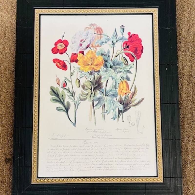 Vintage Botanicals Script
Red Green Black White Yellow
Size: 13.5x17.5H