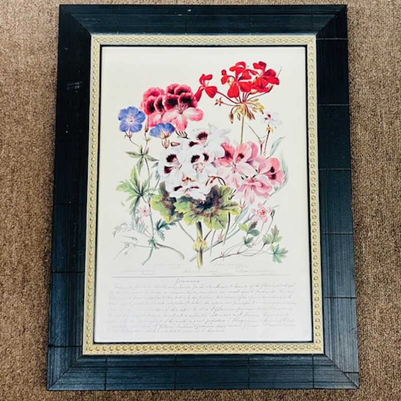 Vintage Geranium Script
Red Green Black White
Size: 13.5x17.5H