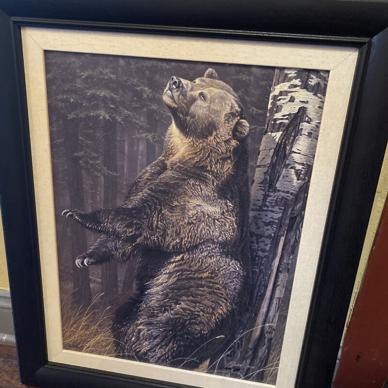 Daniel Smith Bear Print