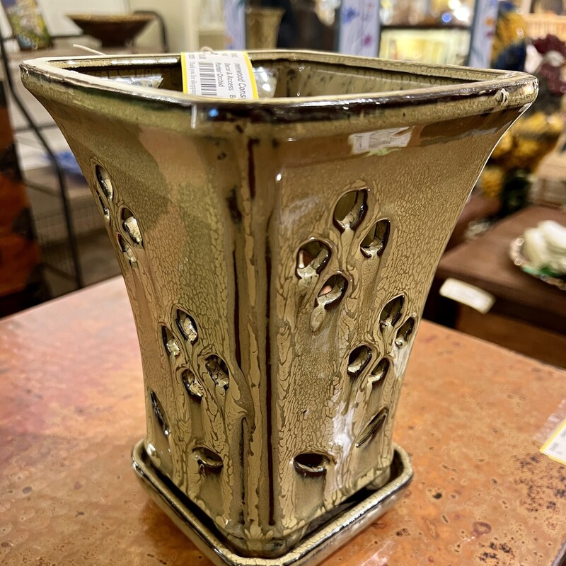 Planter Orchid
