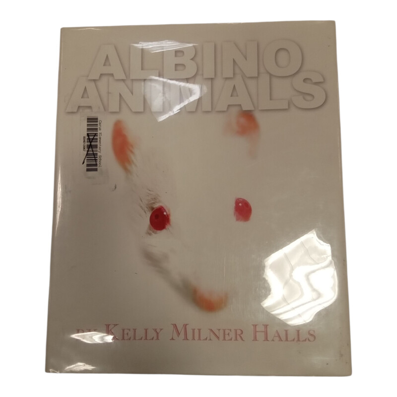Albino Animals