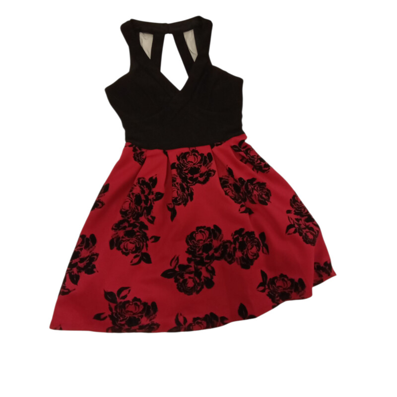 Dress: Red Black Roses