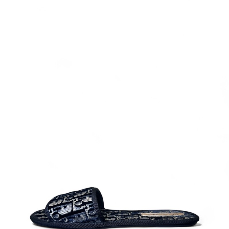 Dior Chez Moi Slides