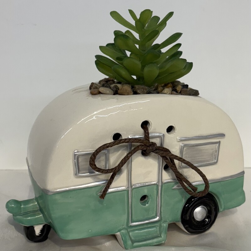 Succulent Cool Camper