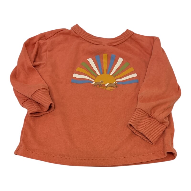 Long Sleeve Shirt:Orange