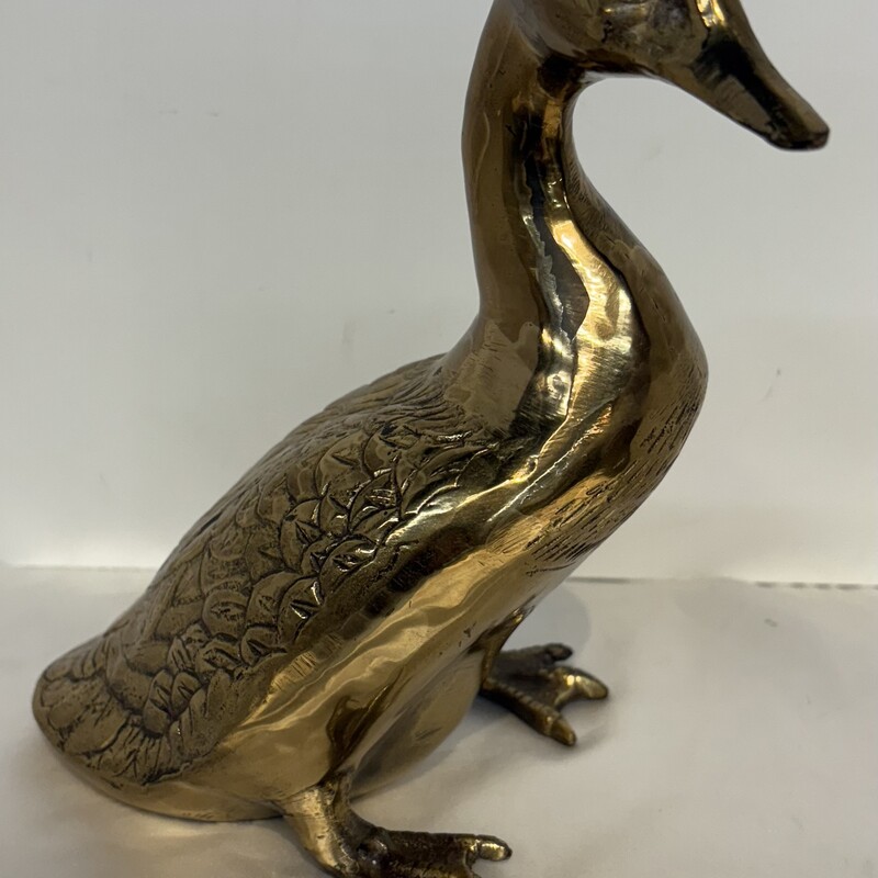 Brass Duck