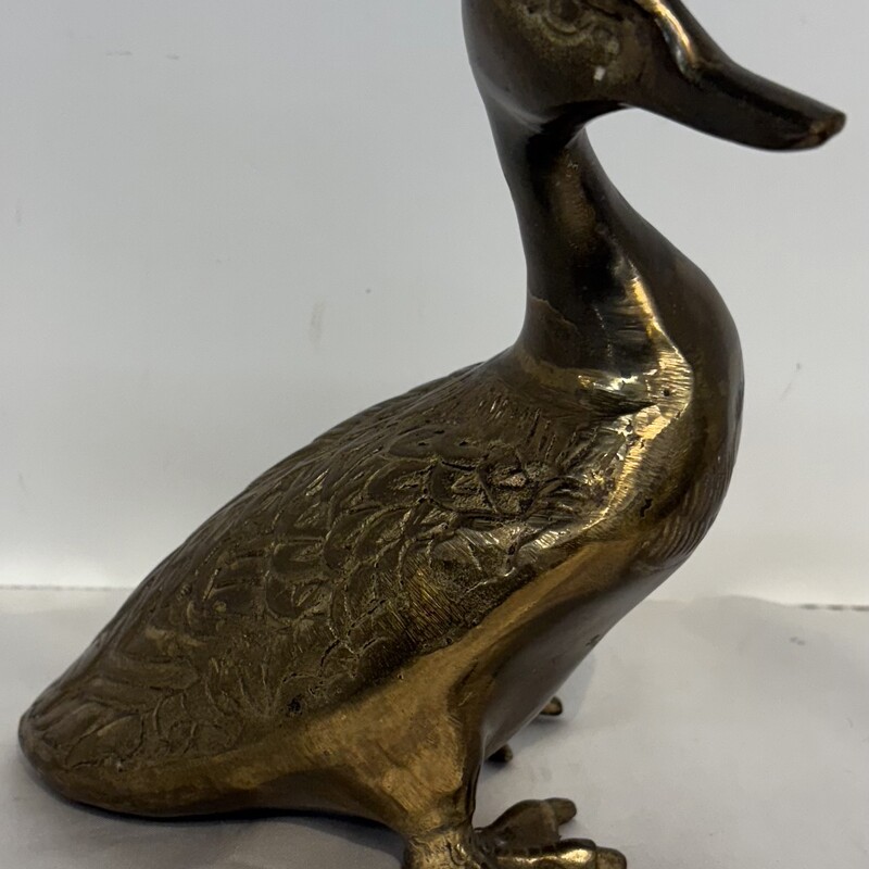 Brass Duck