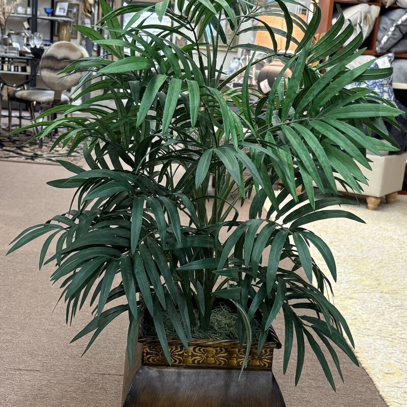 Palm Plant In Metal Pot