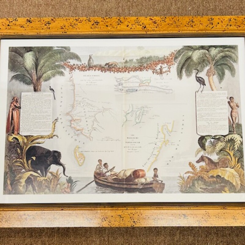 Tropical Map II