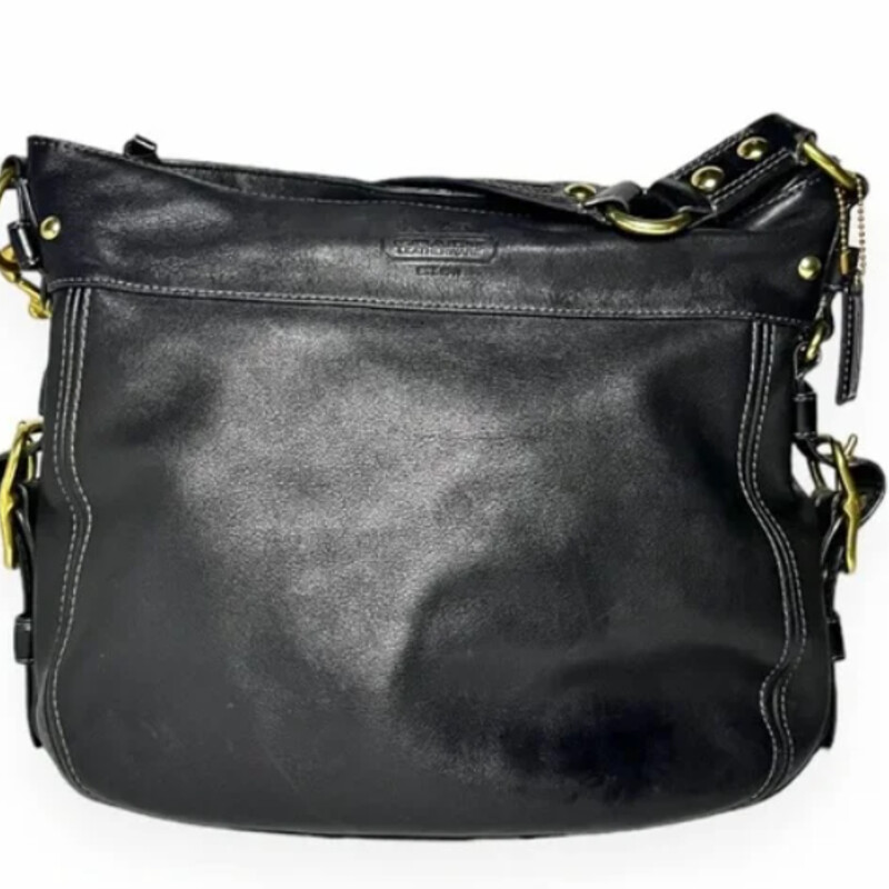 Coach Zoe Leather Hobo