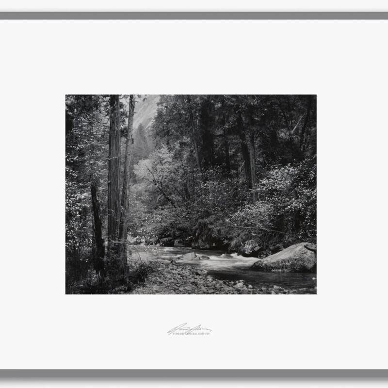 AAdams Yosemite Tenaya
