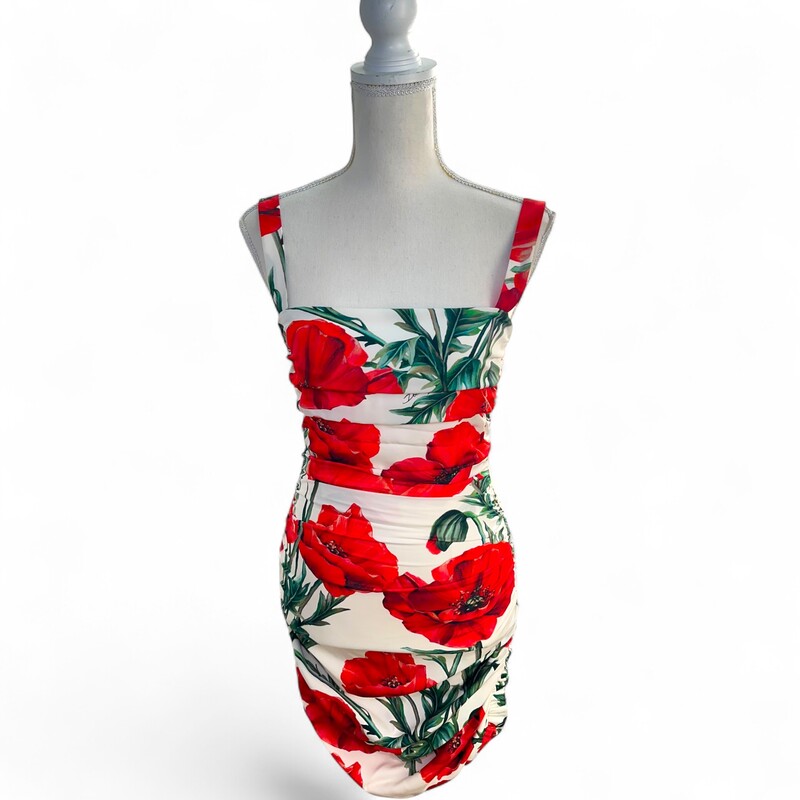 D&G Poppy Floral