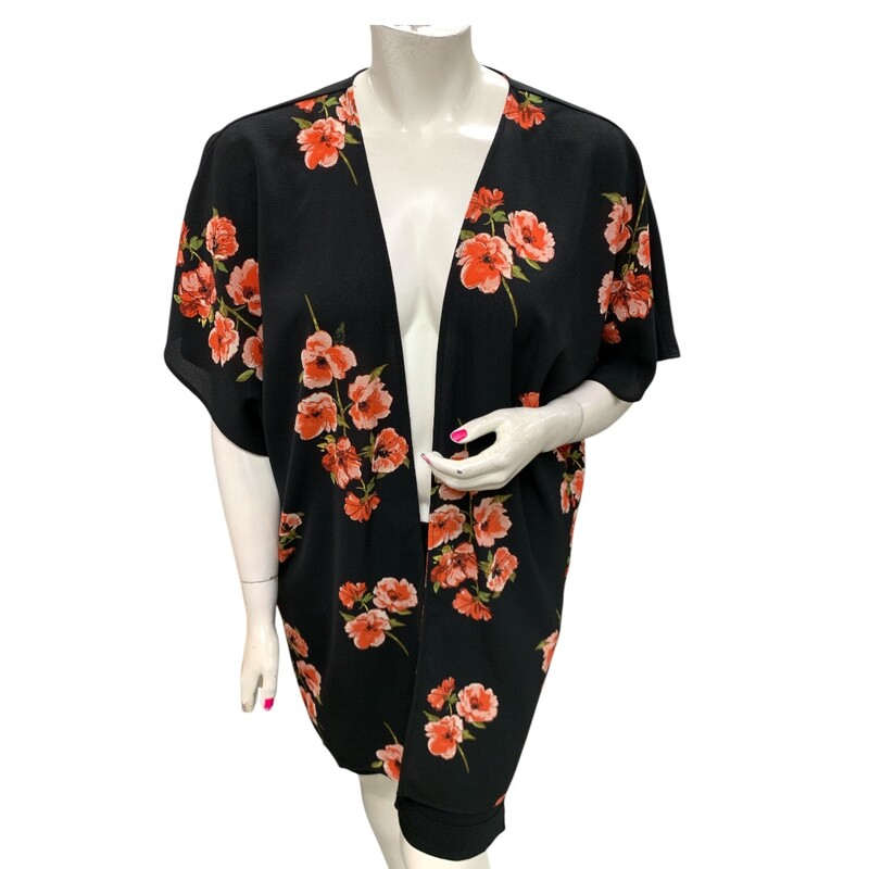 Maurices Cover Up