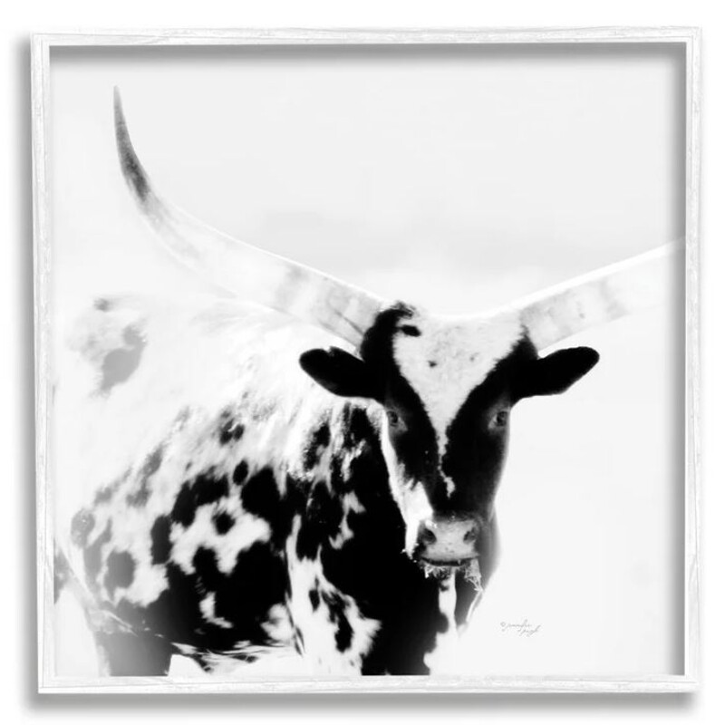 Spotted Longhorn Meeting Gaze Framed Giclee
Black White Gray Size: 12 x 12H