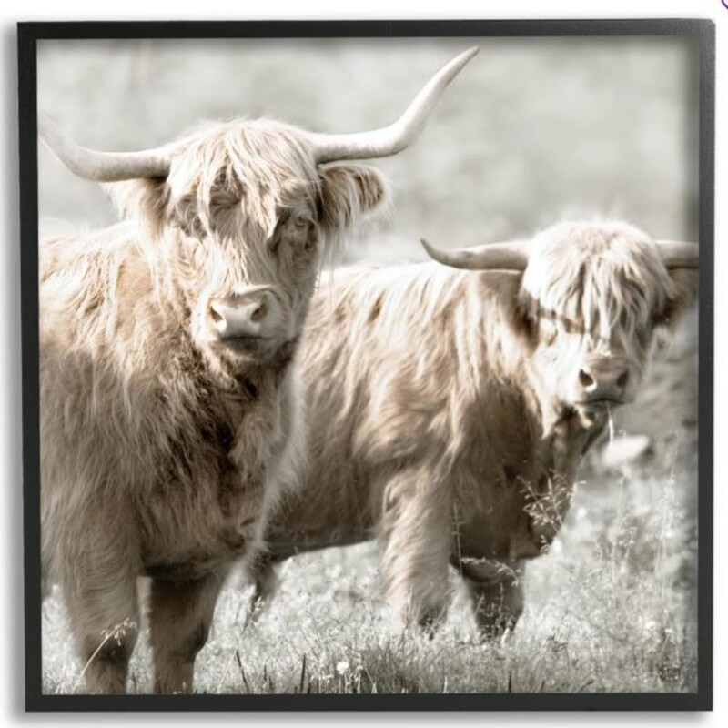 Highland Cattle Pair Grazing Framed Giclee
Black White Gray Size: 12 x 12H