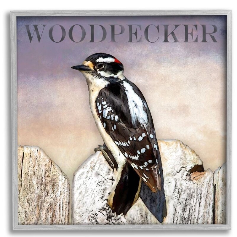 Woodpecker Perched on Fence Framed Giclee
Black White Blue Tan Size: 12 x 12H