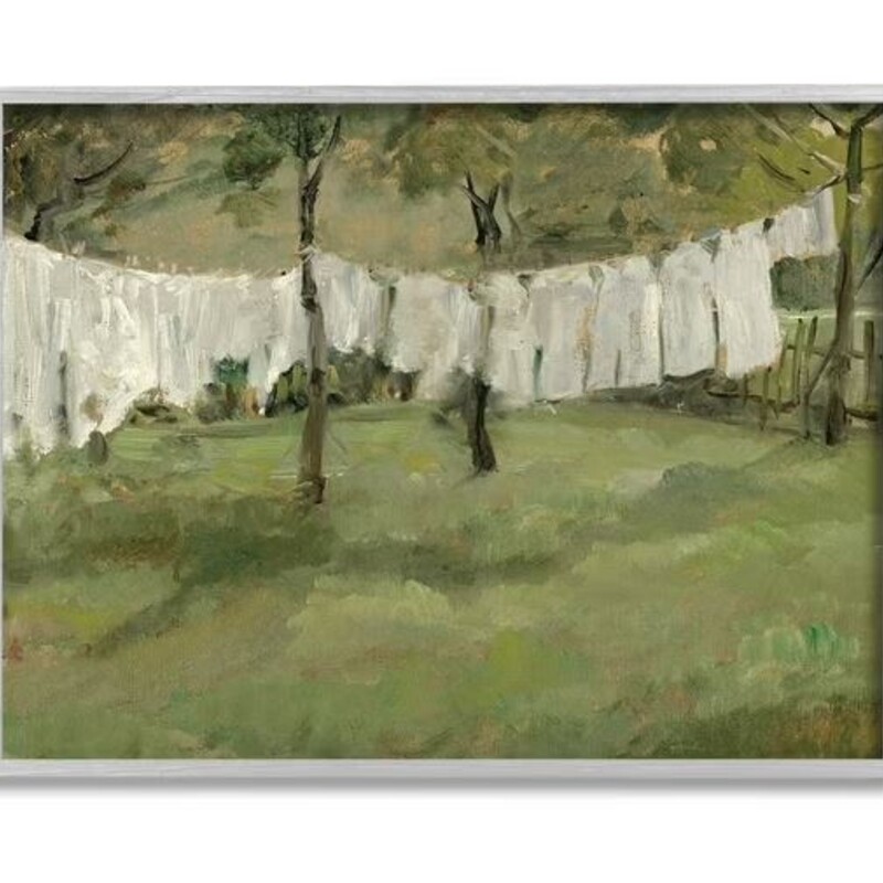 Soothing Clothesline Yard