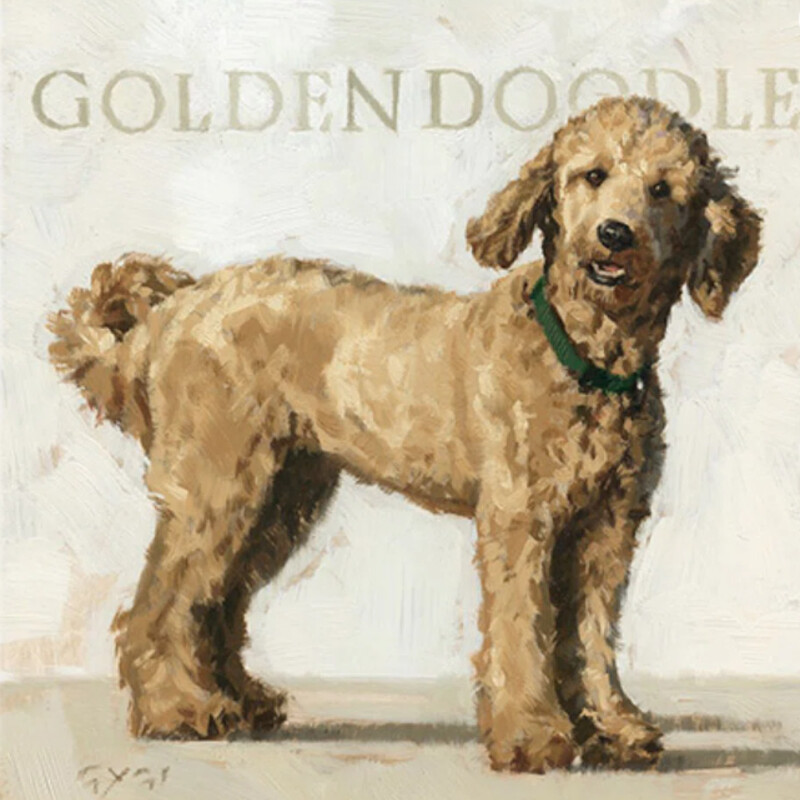 Goldendoodle Canvas