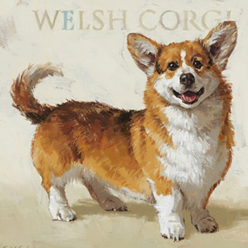 Welsh Corgi Canvas
Tan White
Size: 5x5
The vivid brushstrokes on this canvas artwork make this dog soft enough to hug. This Darren Gygi Home Collection paw prints series will be a treasured family heirloom.
NEW Retail $22
