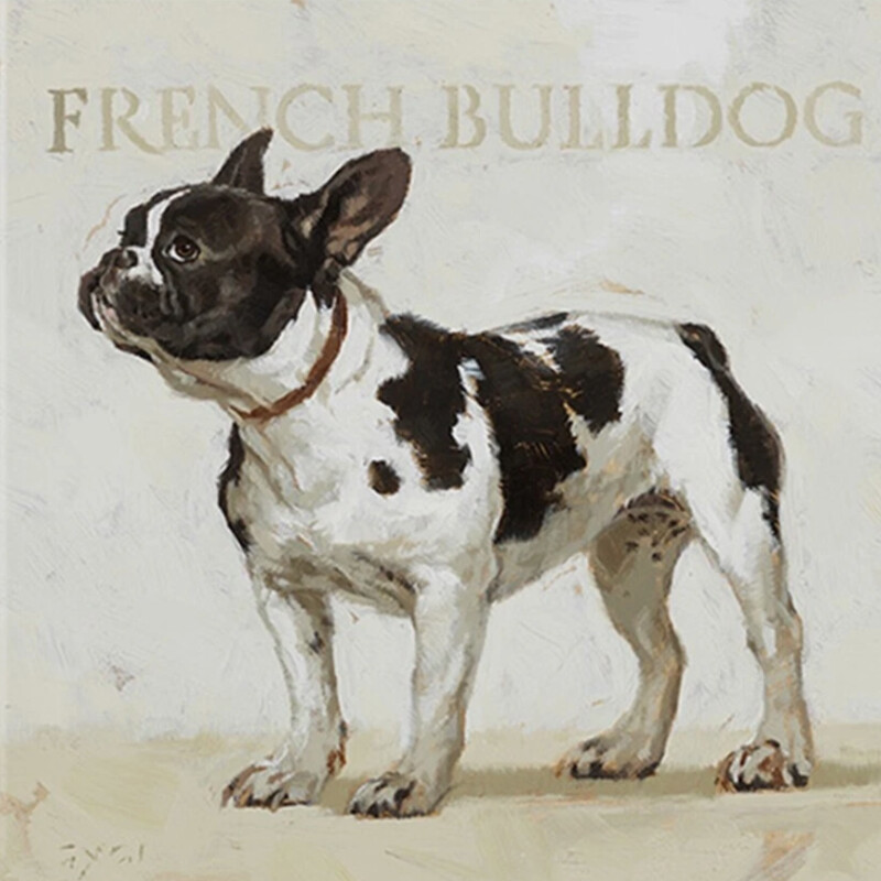 French Bulldog Canvas
Cream Brown White
Size: 5x5
The vivid brushstrokes on this canvas artwork make this dog soft enough to hug. This Darren Gygi Home Collection paw prints series will be a treasured family heirloom.
NEW Retail $22