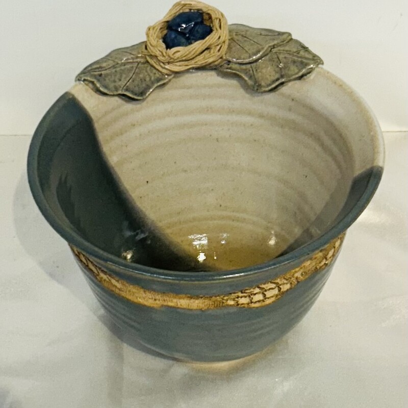 Birds Nest On Rim Of Bowl