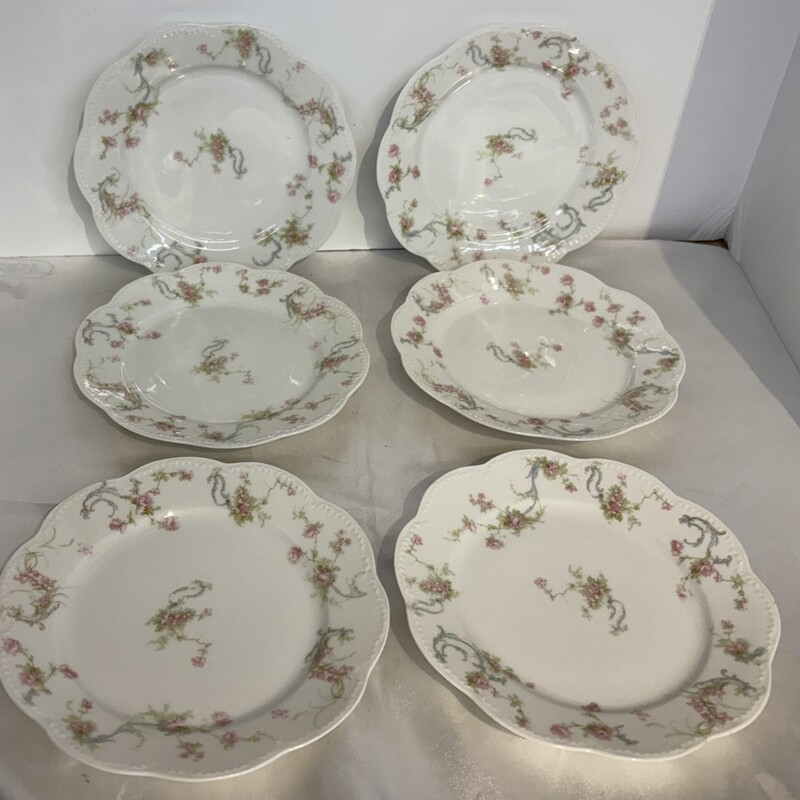 S6 Limoges Haviland Plts