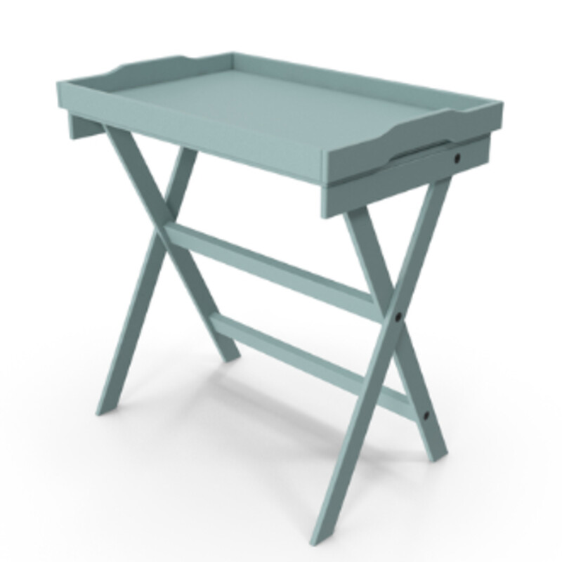 Removable Tray Table