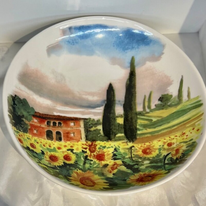 Sur La Table Italian Bowl
White Yellow Green Blue
Size: 14.5H