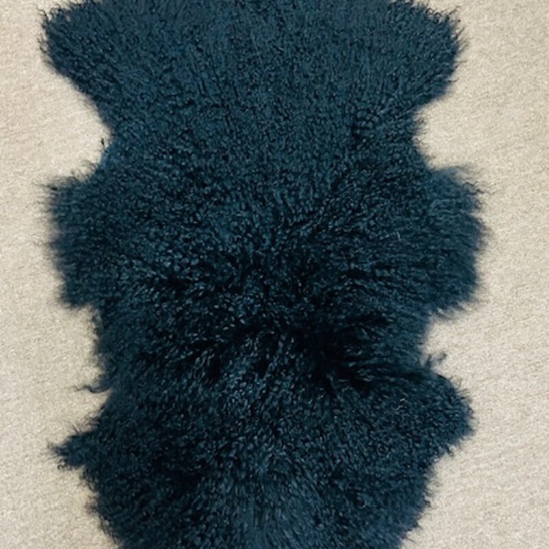 Arhaus Tibetan Sheepskin Rug
Black Size: 22 x 39L
Retails: $199