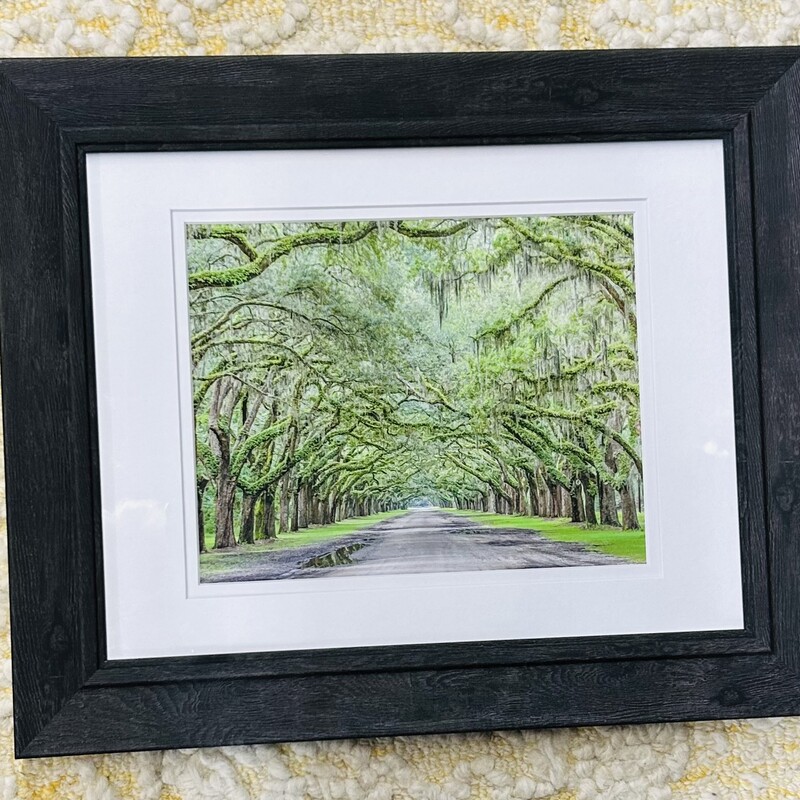 Avenue Of Oaks Casey Jones
White, Black and Green
Size: 17x14H