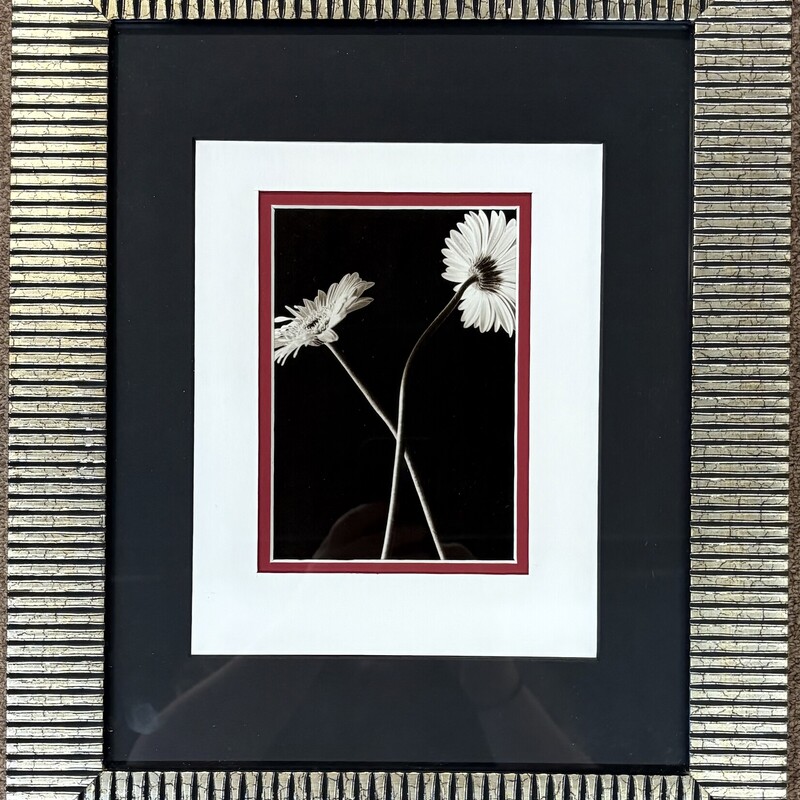 Daisies In Ribbed Frame Print
Silver Black Red Size: 14 x 17.5H