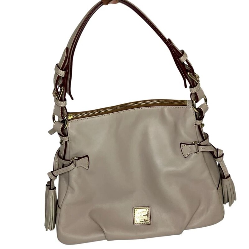 Dooney Tegan Satchel