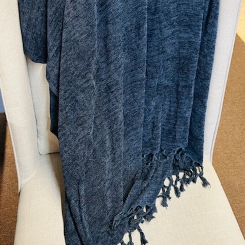 PotteryBarn Tassel Throw