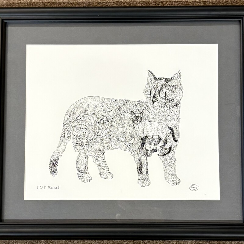 Cat Scan