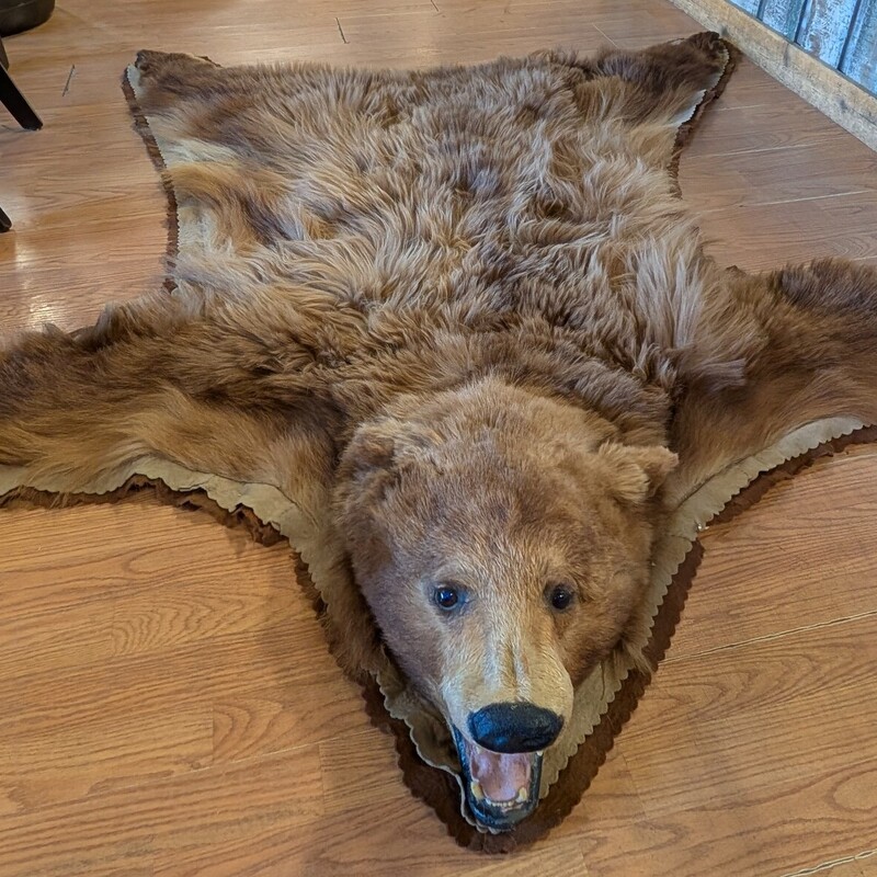 Cinnamon Bear W Head