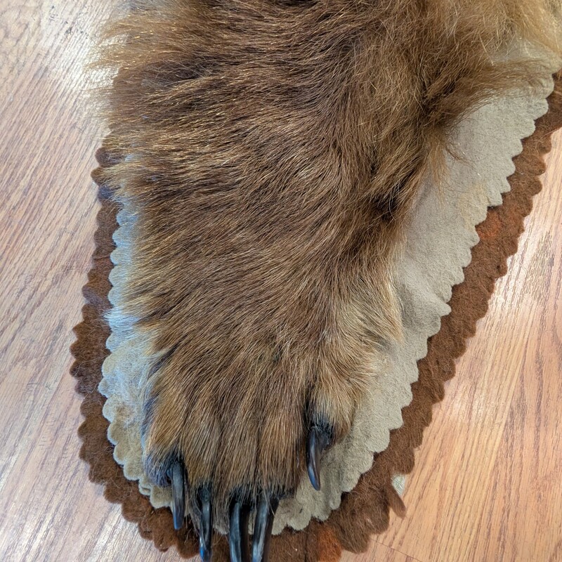 Cinnamon Bear W Head, Vintage, Taxidermy<br />
70 x 70