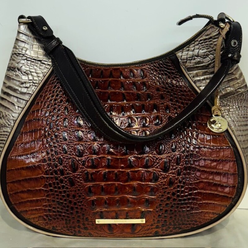 Brahmin Amira Hobo