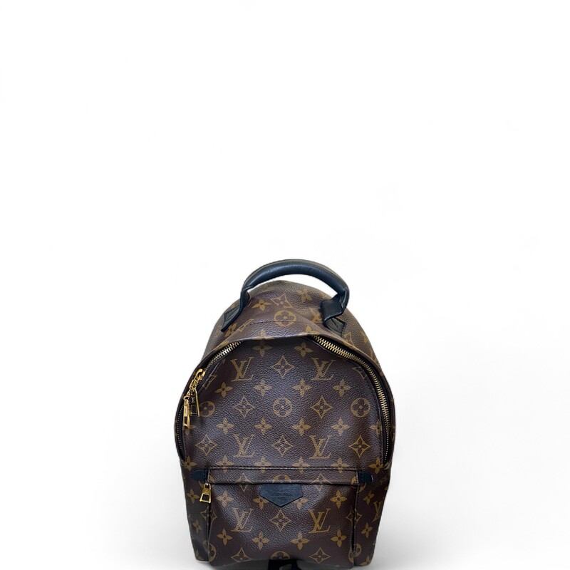 Louis Vuitton Palm Spring