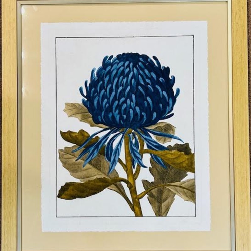 Sepia Botanical I