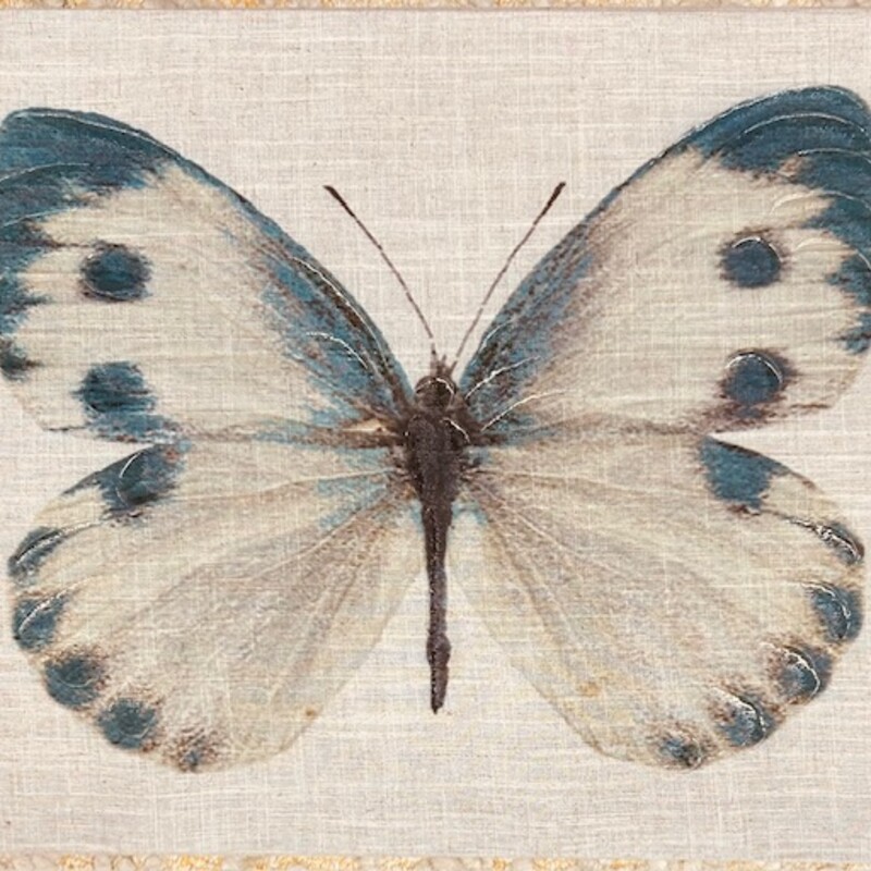 Butterfly Fabric Canvas