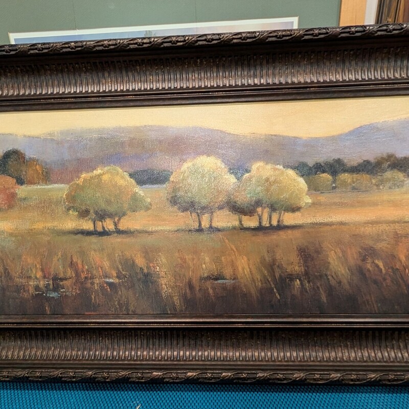 Trees In Landscape