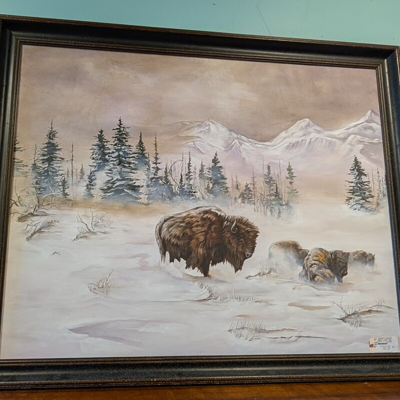 Buffalo In Winter W/snow, Original, Framed
66 x 55