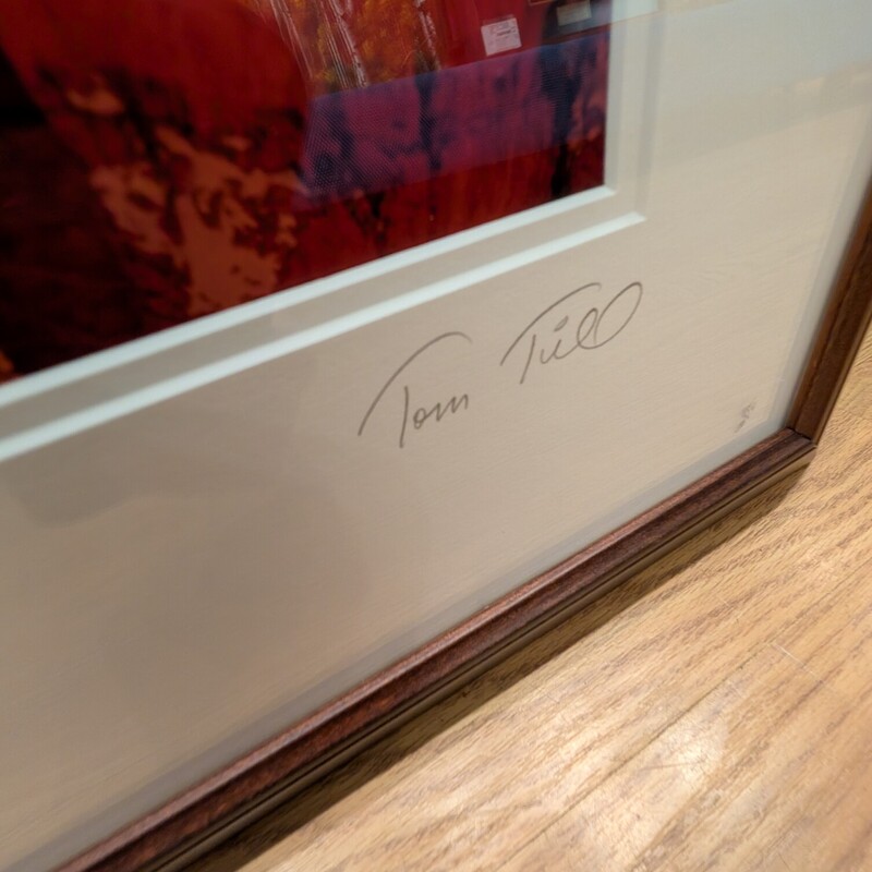 Bryce Sunset Tom Till, Signed, Framed
39 x 33