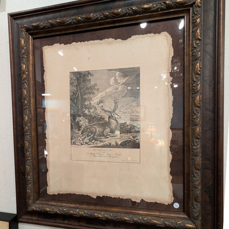 European Stag Portrait, Print, Framed
33 x 36