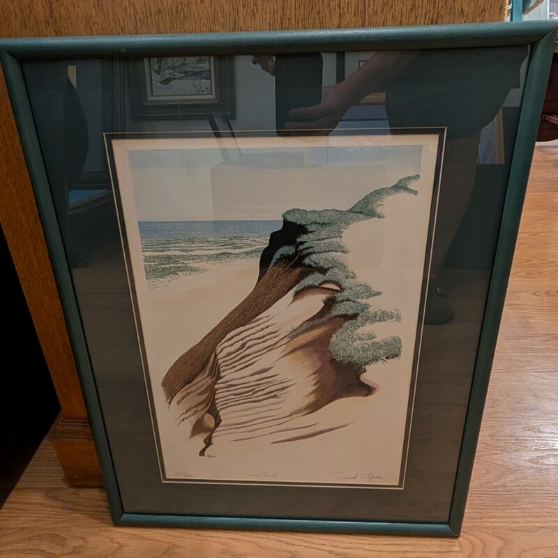 David Grose Silkscreen, Headland, Limited Ed
20 x 25h
