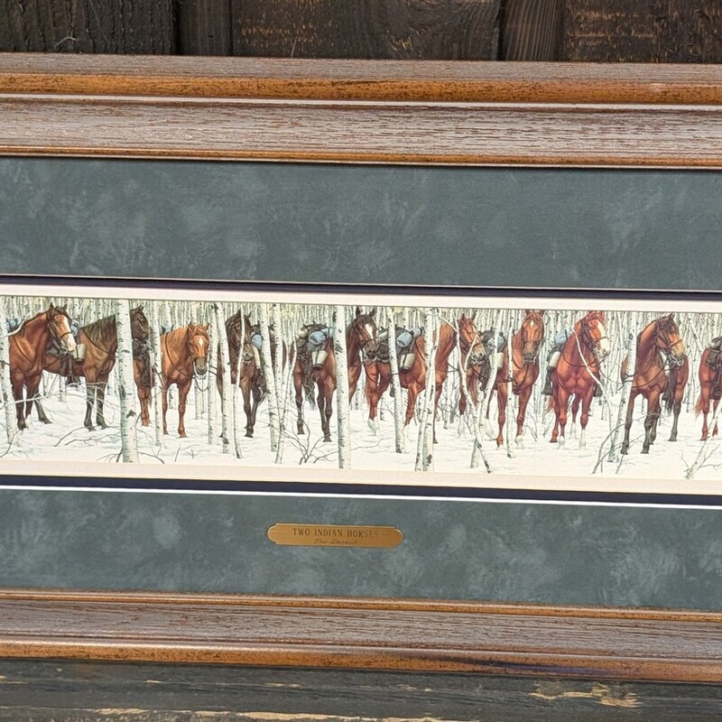 Bev Doolittle 2 Indian